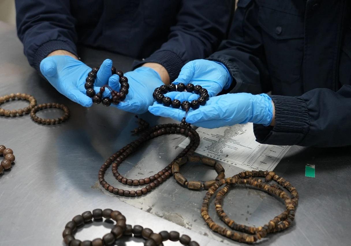 “盘串”小心踩红线 广州海关查获多件濒危植物制品