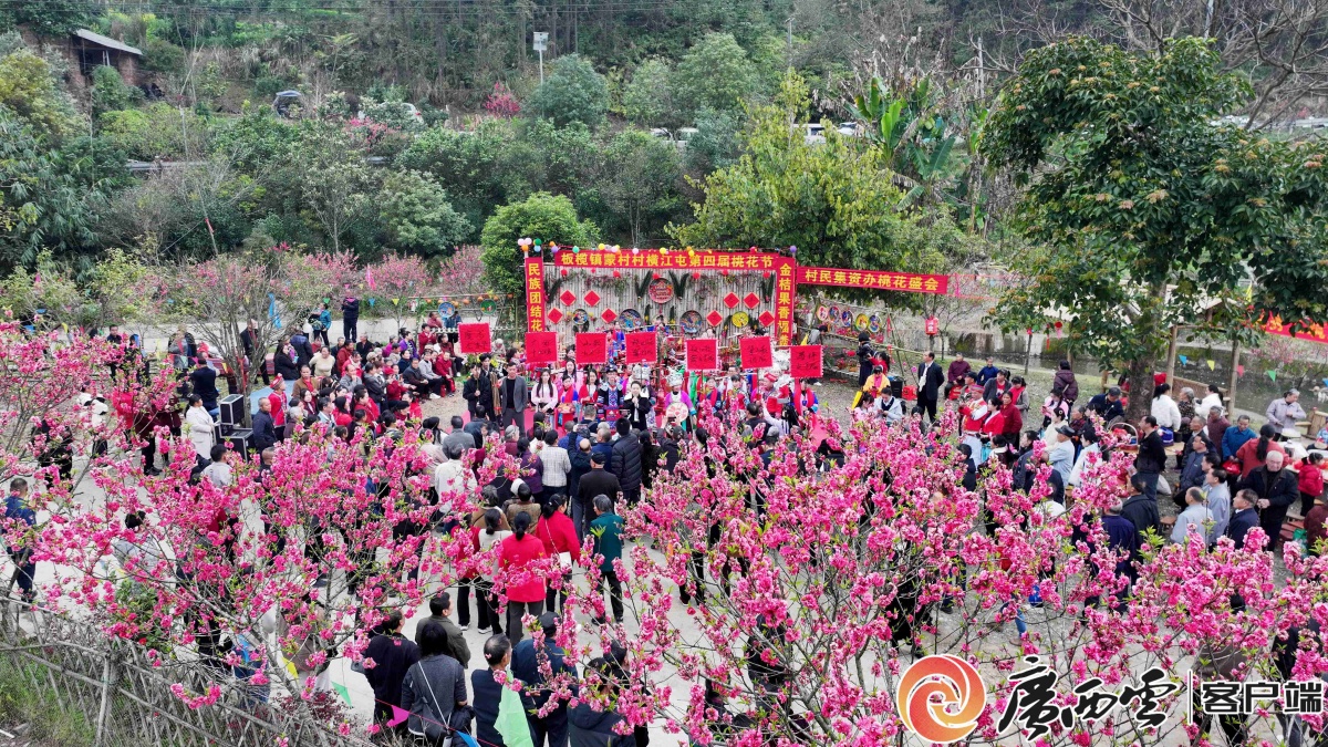 融安：桃花盛开迎客来